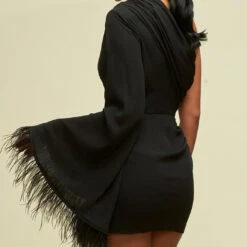 Size Small, Cleo One Sleeve Mini Dress - Black Feather-FINAL SALE -ladyblacktie shop 0004930 feather one shoulder dress 18267.1681920172