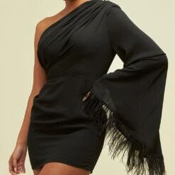 Size Small, Cleo One Sleeve Mini Dress - Black Feather-FINAL SALE -ladyblacktie shop 22 13421.1681328574