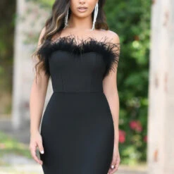 Sochi Mini Dress - Black Feather