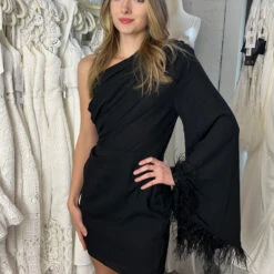 Size Small, Cleo One Sleeve Mini Dress - Black Feather-FINAL SALE -ladyblacktie shop cleo 3 85038.1681328537